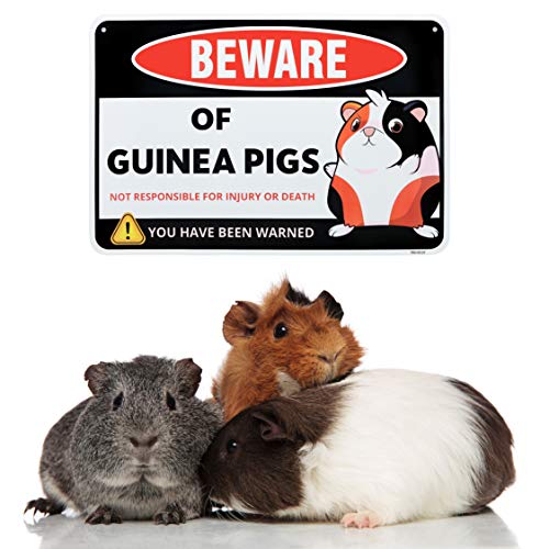 Guinea Pig Sign Decor (Guinea Pig)