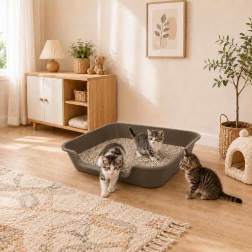 Extra Large Low Entry ABS Cat Litter Box (Large (Pack of 2) / Brown)