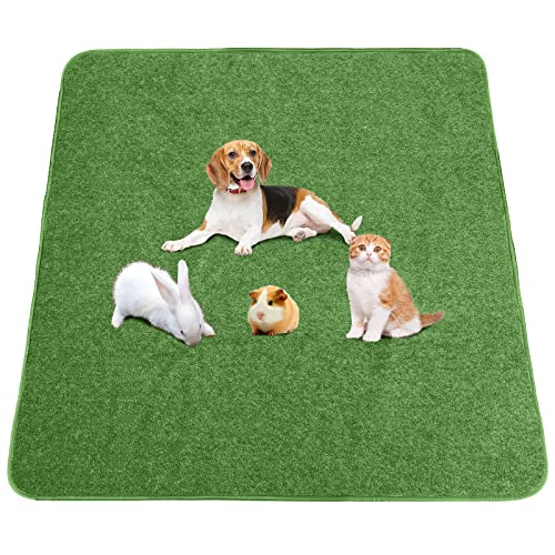 Washable Pee Pads for Dogs (72"x72" -1 Pack / Green)