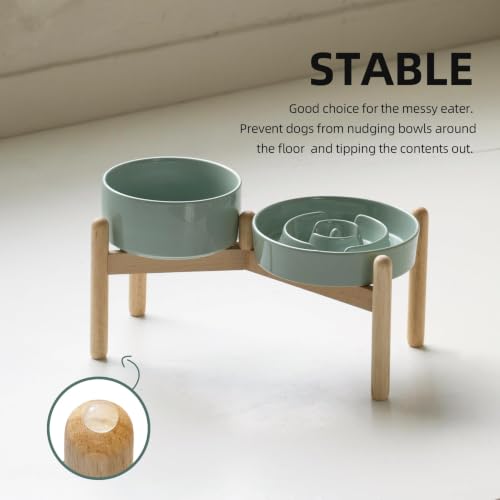Elevated Slow Feeder Dog Bowls (Light Green)