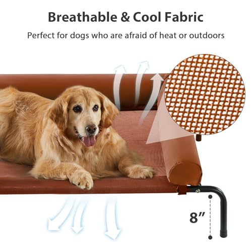 Large Elevated Cooling Cot (Caramel / 54.0"L x 34.0"W x 8.0"Th)