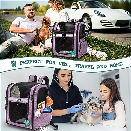 Dog Backpack Carrier (Purple)