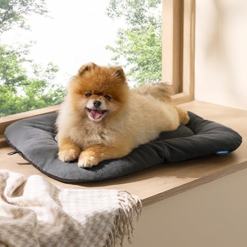 Washable Dog Crate Pad for Small Dogs (23.0"L x 17.0"W x 1.0"Th / Grey)