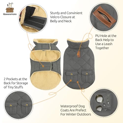 Dog Winter Coat (Small / Grey)