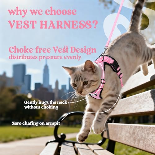 Cat Harness and Leash Set (Xs / Pink)