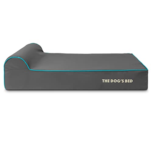 The Dog’s Bed Orthopedic Memory Foam Dog Bed with Headrest Large 6 (Grey with Blue Trim / L (40"L x 25"W x 6"Th))