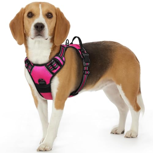 Dog Harness for Small Dogs (Small / Rose Red)