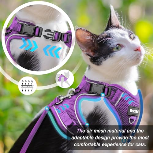 Cat Harness and Leash for Walking (Purple / X Small (4-6lb))