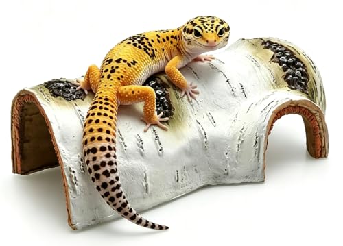 Reptile Hide for Bearded Dragons (brown / Medium-BH)