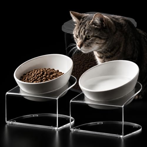 Elevated Cat Bowls (20LBS-3Pack-White-1)