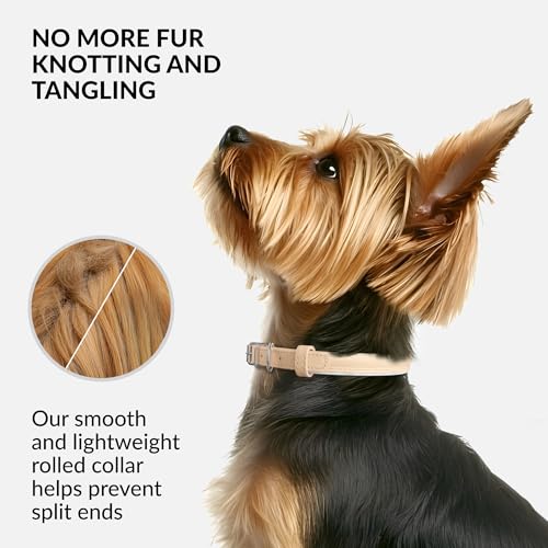 Tangle Free Reflective Leather Dog Collar (Beige / M)