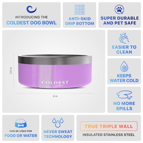 Coldest Dog Bowl (64 oz / Saturns Purple Glitter)