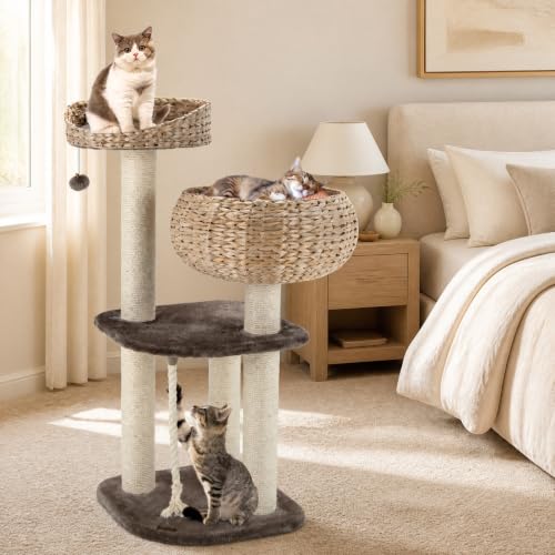41 Inch Modern Cat Tree for Indoor Cats (41 inches / Coffee)