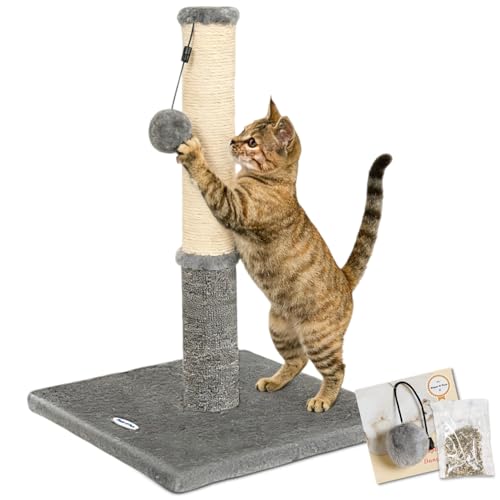 Cat Scratching Post (21.6" / Light Gray)