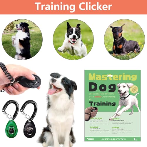 Dog Training Kit (Grey)