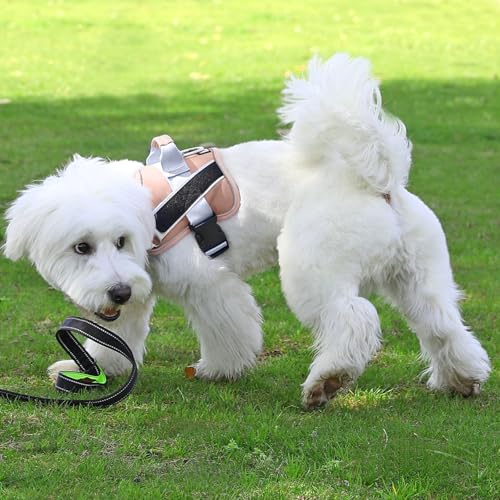 Dog Harness No (Small (Pack of 1) / RosePink)