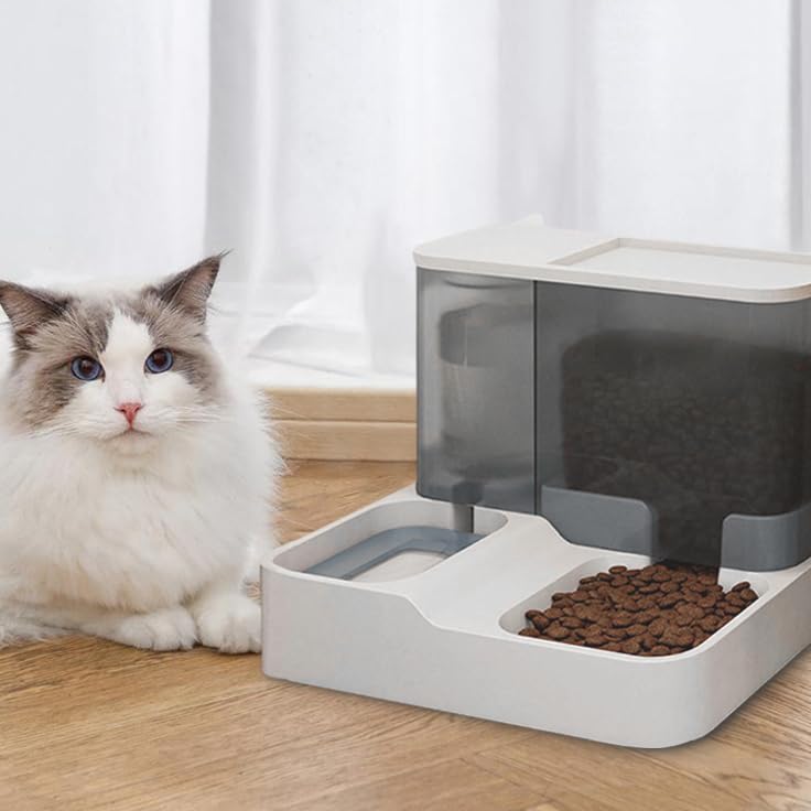Cat Bowls for Indoor