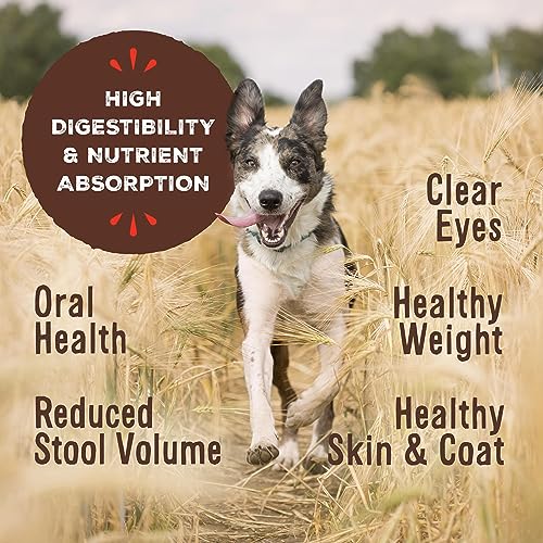 Primal Freeze Dried Raw Dog Food Nuggets (14 Ounce (Pack of 1))