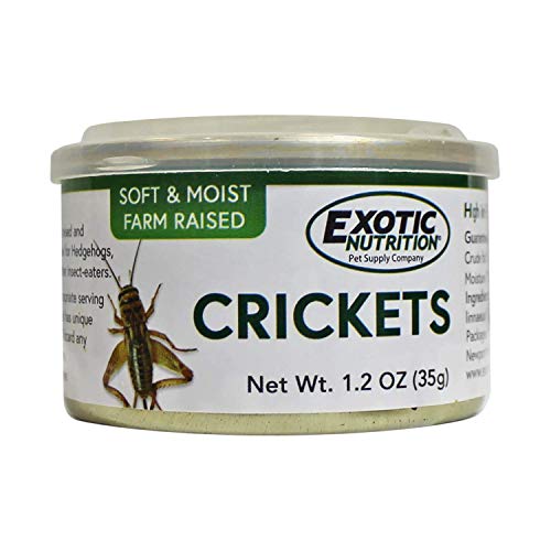 Canned Crickets