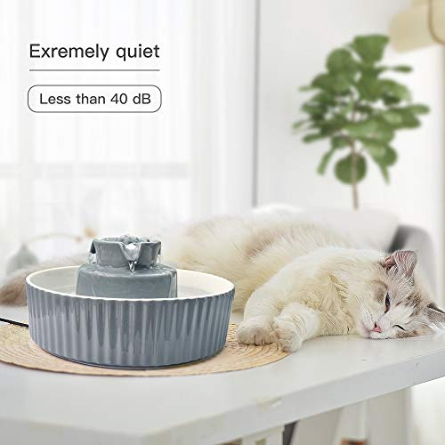 Pet Drinking Fountain