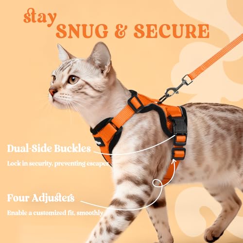 Cat Harness and Leash Set (M / Orange)