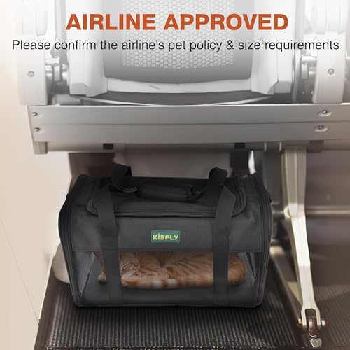 Airline Approved Cat Carrier 17"x11"x9.5" (17x11x9.5 In / Black)