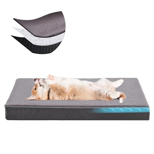Orthopedic Memory Foam Dog Bed (Grey / Medium: 29" x 18" x 3")