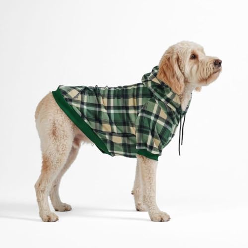 Dog Hoodie Buttery (Green Plaid / XX-Large)