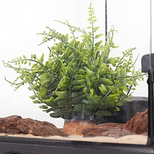 Green Boston Fern Reptile Plants (I-fake Green Boston Fern)