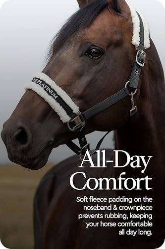 Howard Soft Fleece Horse Halter (Shetland / Black)