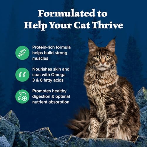 Wilderness Duck Adult Dry Cat Food (1 Count (Pack of 1))