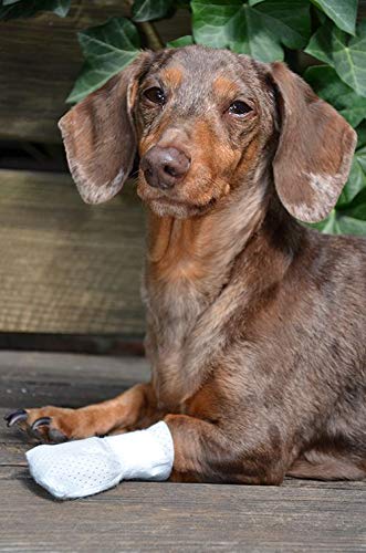 Medimitt Paw Bandages for Dogs (Medium 20-pack)