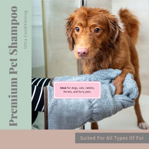 Begley’s No Rinse Waterless Pet Shampoo (16 Fl Oz (Pack of 1) / Oatmeal Mango)