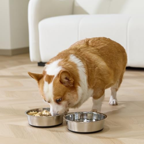Dog Bowls Food Grade Stainless Steel for Food and Water (Black / 3 Cup)
