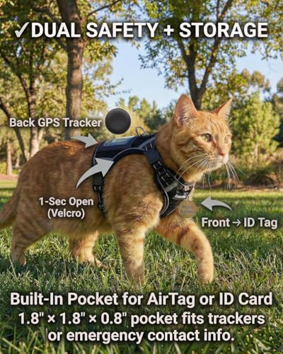 Escape Proof Cat Harness and Leash Set (Black / M)