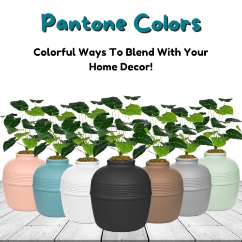 Original Hidden Litter Box Planter (Broad Leaf Philodendron / Essentials Kit / Charcoal Black)