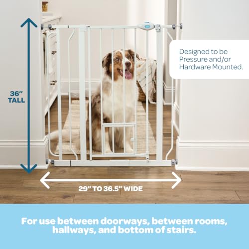 Carlson 36" Extra Tall Walk Through Dog Gate for Doorways & Bottom of Stairs (White / 29.5-36.5" W x 36" H)