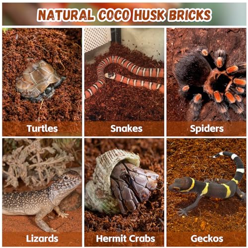6 Pack Coconut Fiber Substrate (6 Pack)