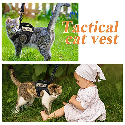 Tactical Cat Harness and Leash for Walking (Large / Black)