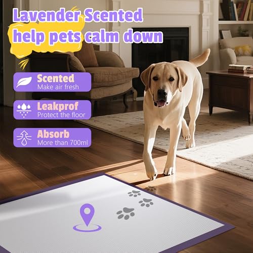 Lavender Scented Thicken 6 Layers Heavy Absorbent 30"x36" Pet Training Dog Pee Pads (Lavender Scent - 30"x36")