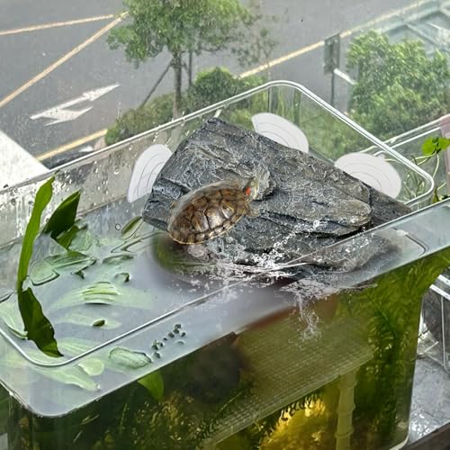 Turtle Basking Platform (Platform)