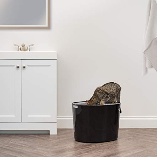 Top Entry Cat Litter Box (Top Entry / Black)