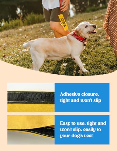 Please Ignore Me Dog Leash Sleeve (Please Ignore Me)