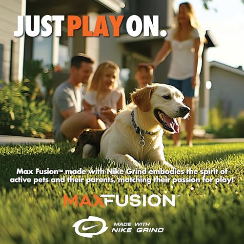 Arlee Rubber Bone Dog Toy for All Dogs