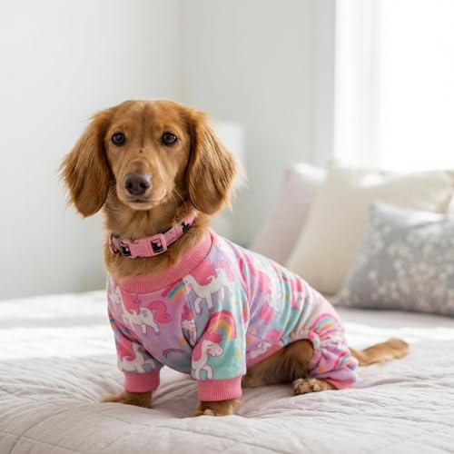 Dreamy Unicorn Fleece Dog Pajamas (Unicorn / XX-Large)