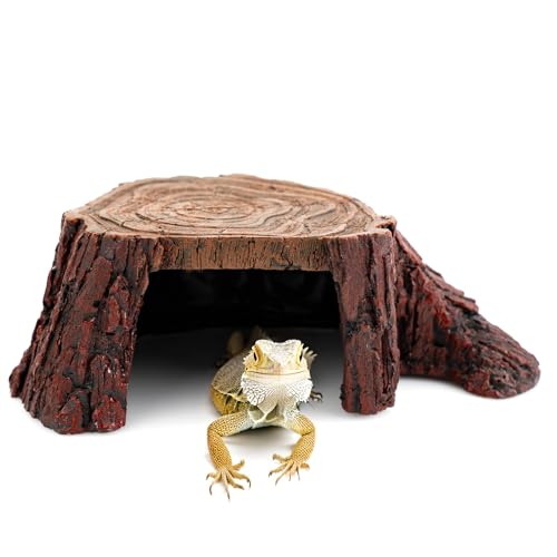 Aquarium Tank Accessories