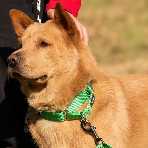 Martingale Collar for Dogs Small Green (Small / Lime Green)