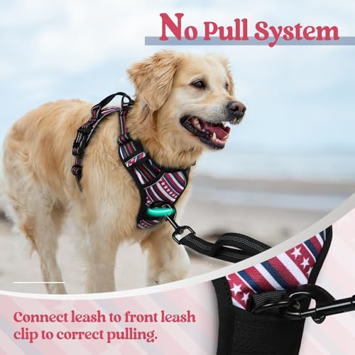 Dog Harness No Pull for Large Dogs with 2 Leash Clips (Large / Red Stripe)