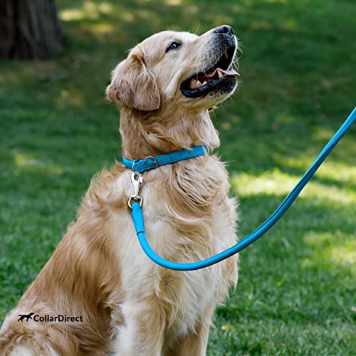 Tangle Free Rolled Leather Dog Collar