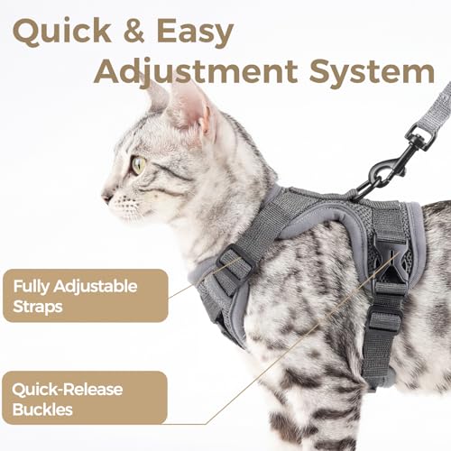 Cat Harness and Leash Set (Grey / X-Large)